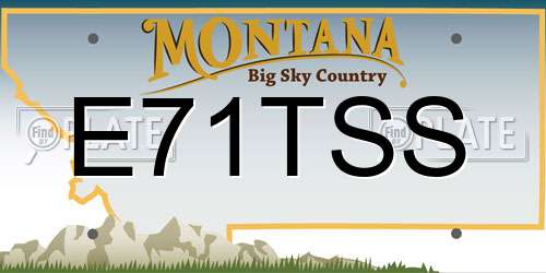 E71TSS Montana License Plate