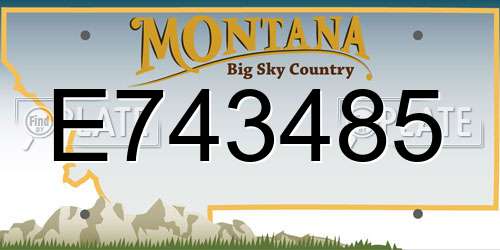 E743485 Montana License Plate