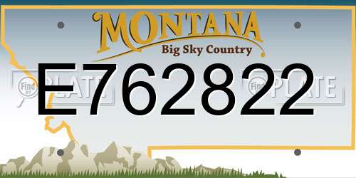 E762822 Montana License Plate