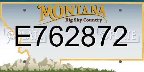 E762872 Montana License Plate