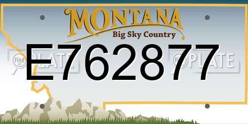 E762877 Montana License Plate