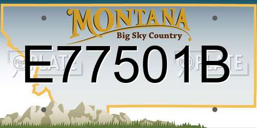 E77501B Montana License Plate