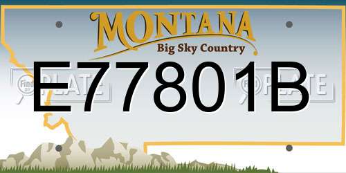E77801B Montana License Plate