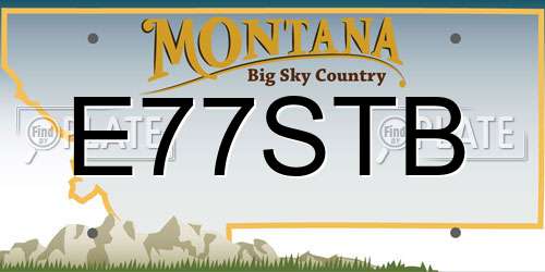 E77STB Montana License Plate