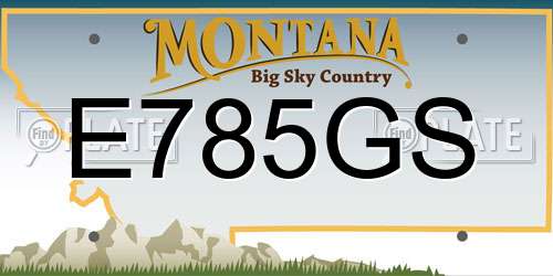 E785GS Montana License Plate