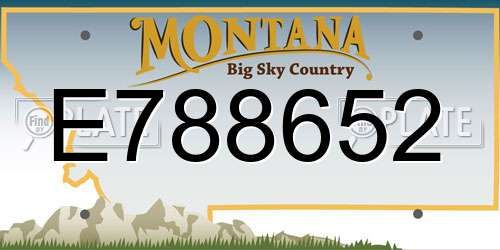 E788652 Montana License Plate