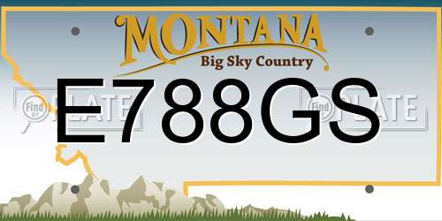 E788GS Montana License Plate