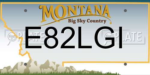 E82LGI Montana License Plate