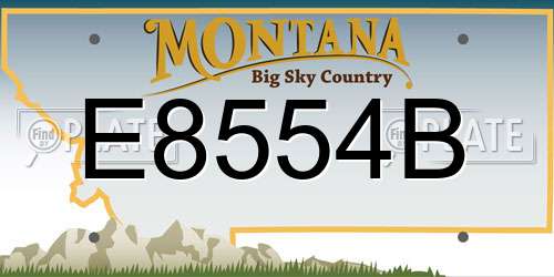 E8554B Montana License Plate