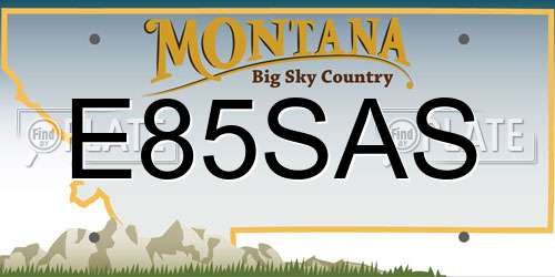 E85SAS Montana License Plate