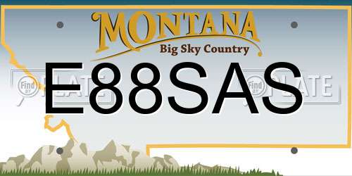 E88SAS Montana License Plate