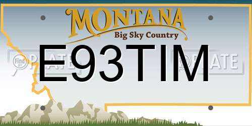 E93TIM Montana License Plate