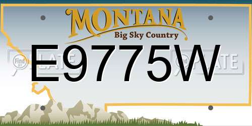 E9775W Montana License Plate