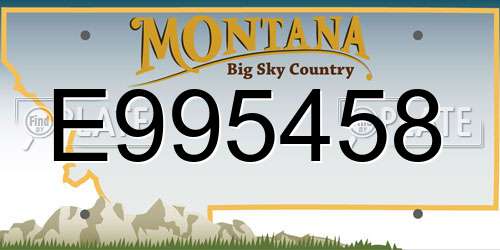 E995458 Montana License Plate