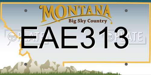 EAE313 Montana License Plate