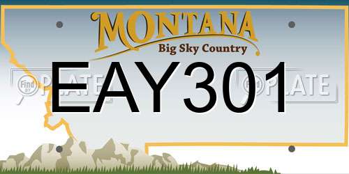 EAY301 Montana License Plate