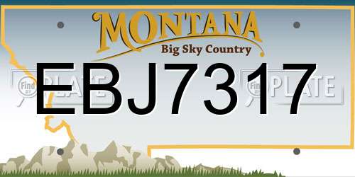 EBJ7317 Montana License Plate