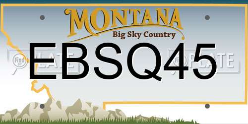 EBSQ45 Montana License Plate