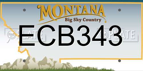 ECB343 Montana License Plate