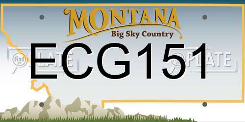 ECG151 Montana License Plate
