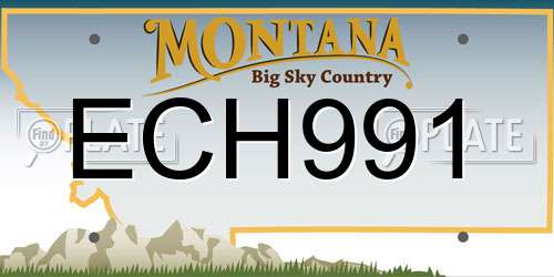 ECH991 Montana License Plate