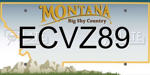 ECVZ89 Montana License Plate
