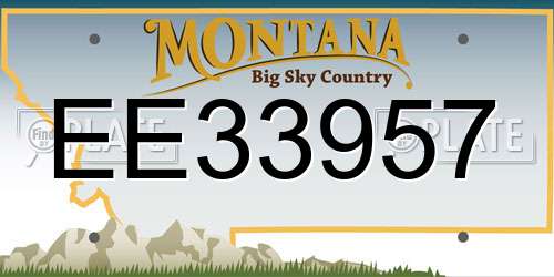 EE33957 Montana License Plate