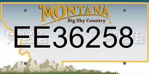 EE36258 Montana License Plate