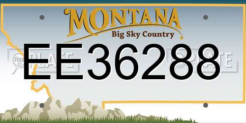 EE36288 Montana License Plate