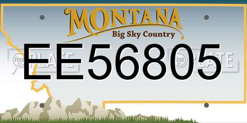 EE56805 Montana License Plate