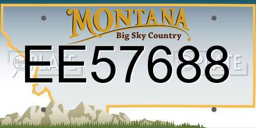 EE57688 Montana License Plate