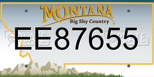 EE87655 Montana License Plate