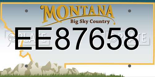 EE87658 Montana License Plate