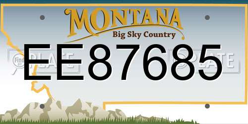 EE87685 Montana License Plate