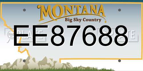 EE87688 Montana License Plate