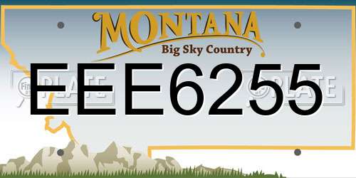 EEE6255 Montana License Plate