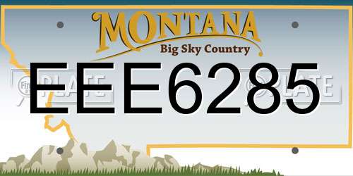 EEE6285 Montana License Plate
