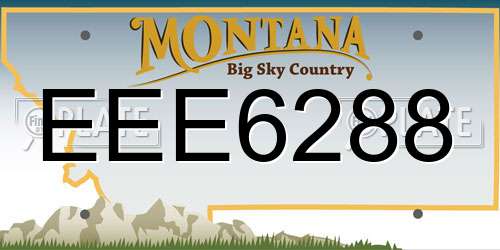 EEE6288 Montana License Plate
