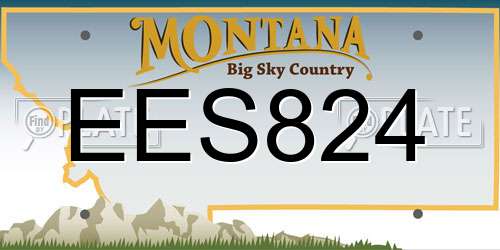 EES824 Montana License Plate