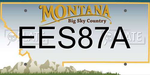 EES87A Montana License Plate