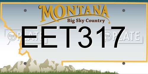 EET317 Montana License Plate