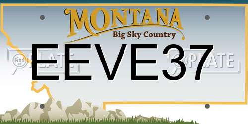EEVE37 Montana License Plate