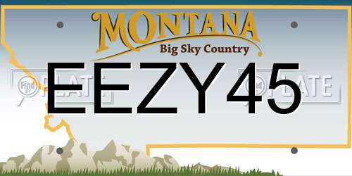 EEZY45 Montana License Plate