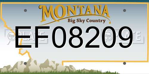 EF08209 Montana License Plate