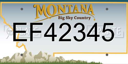 EF42345 Montana License Plate