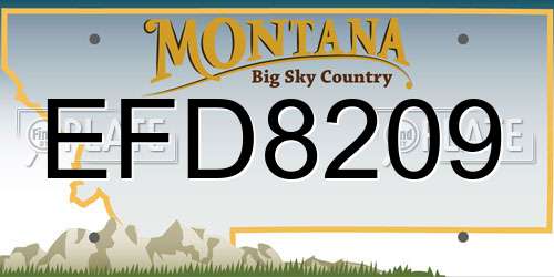EFD8209 Montana License Plate