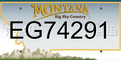 EG74291 Montana License Plate