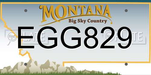 EGG829 Montana License Plate