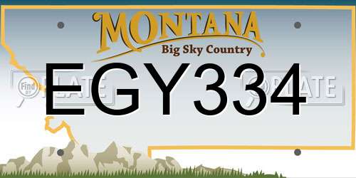 EGY334 Montana License Plate
