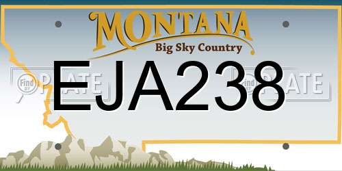 EJA238 Montana License Plate